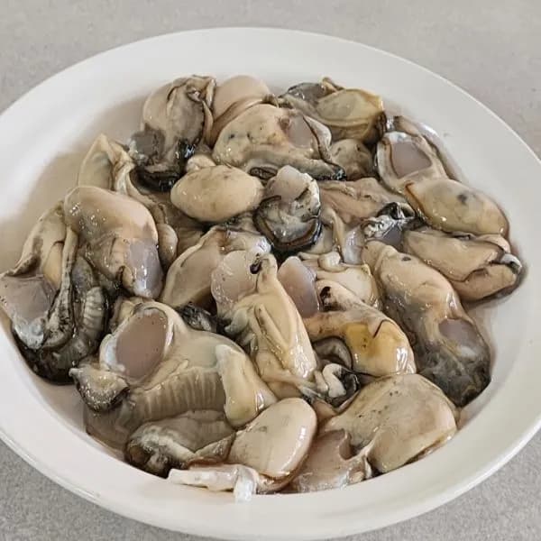 통영 햇 생굴 중굴 1kg