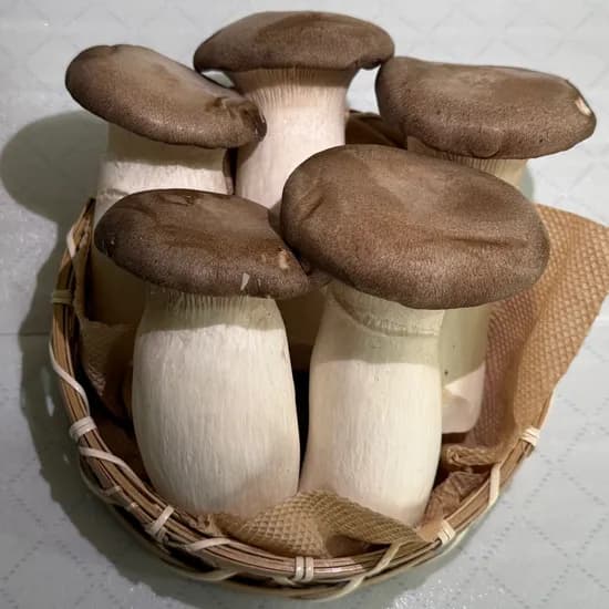 팜n팜 새송이버섯, 1kg