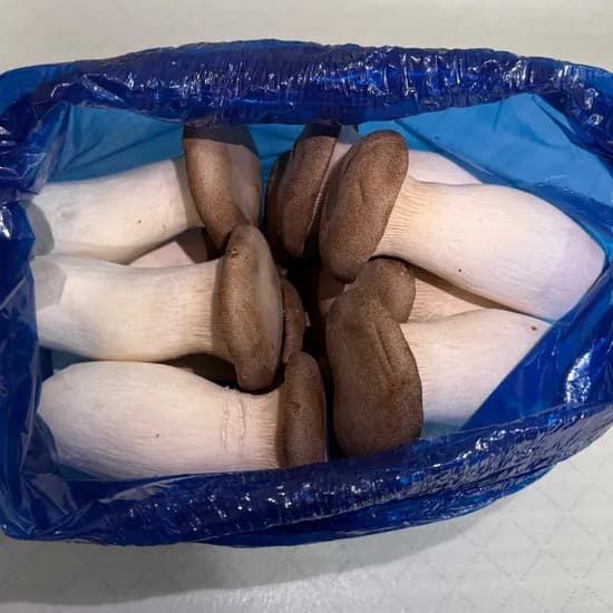 팜n팜 새송이버섯, 2kg, 1개
