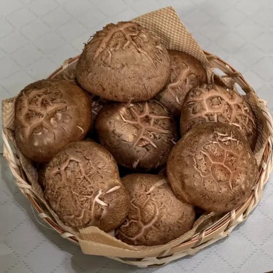 국내산 표고버섯, 중품, 1kg, 1개