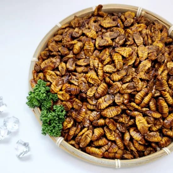 수산잇츠 냉동 번데기 300g 2개