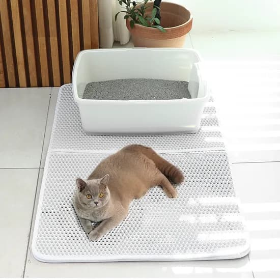 이고웰 고양이 사막화 방지 모래매트, 화이트, 60x90cm, 1개