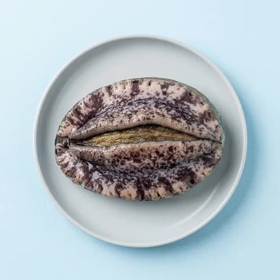 해신수산 완도활전복 특특대 6-7미 1kg 1개