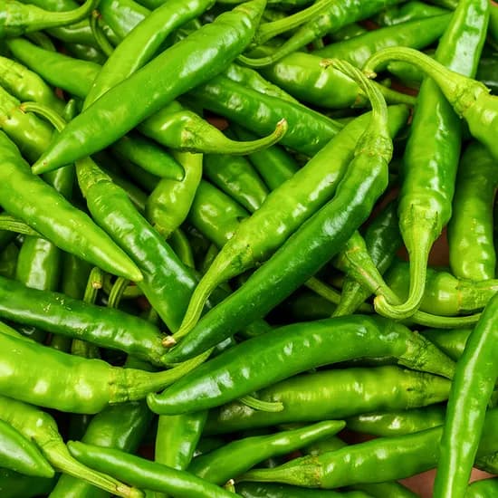 전라도청년 국내산 청양고추, 상, 1kg, 1박스