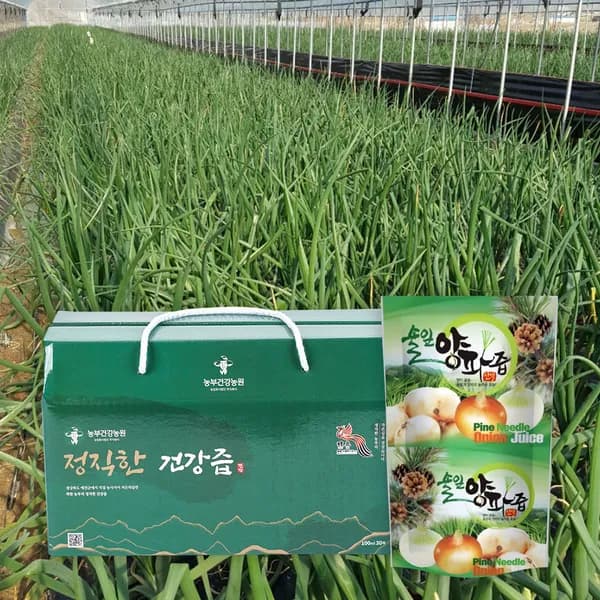 농부건강농원 정직한 솔잎새싹 양파즙 100ml 30포