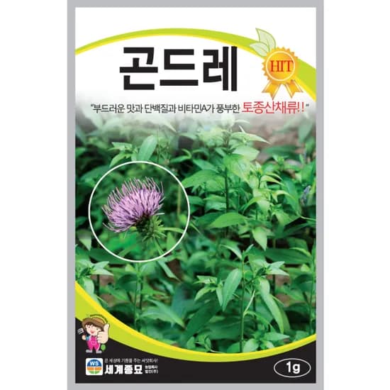 세계종묘 곤드레 씨앗 1개 5,500원