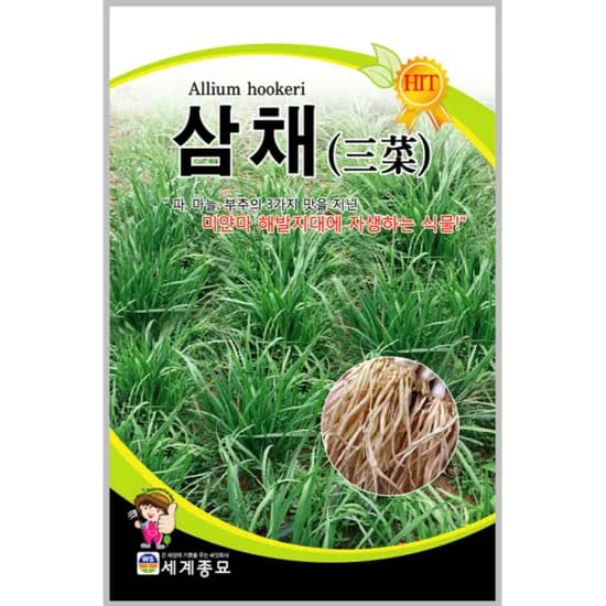 세계종묘 삼채 씨앗 100립 1개