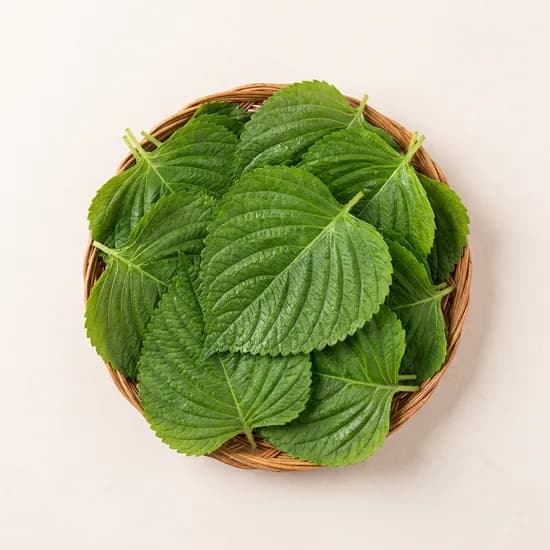 열음농장 밀양깻잎 500g 1개