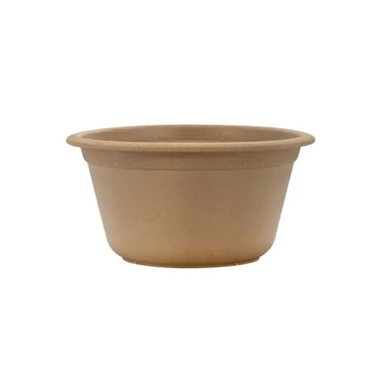 올나무 용기 우드 1개