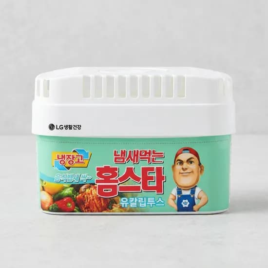 LG생활건강 냄새먹는 홈스타 냉장고용 유칼립투스 420g 2개