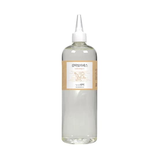 맑을담 갈락토미세스 발효여과물 원액, 500ml, 1개