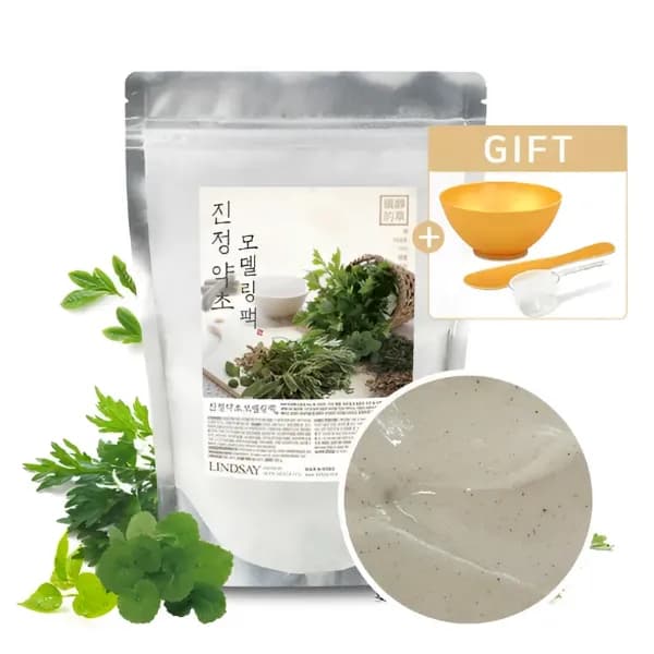 린제이 진정약초 모델링팩, 팩도구세트, 330g, 15회분, 1봉