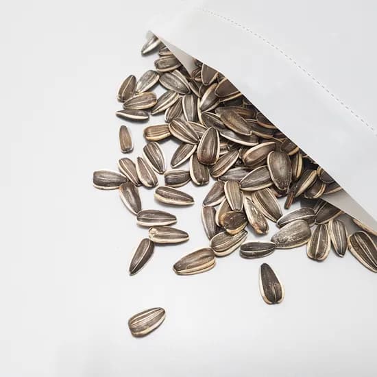 앵무새먹이 대형 해바라기씨, 350g, 1봉