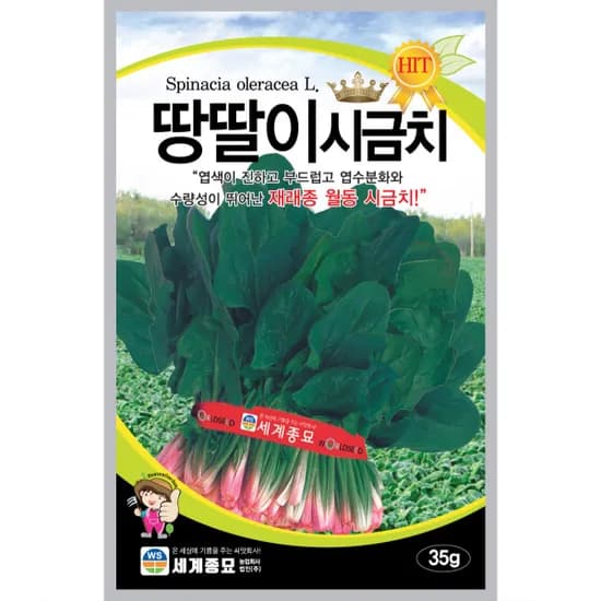 세계종묘 땅딸이시금치, 35g, 1개
