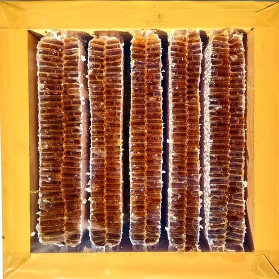 달콤허니 사양벌집꿀 3.8kg 2개