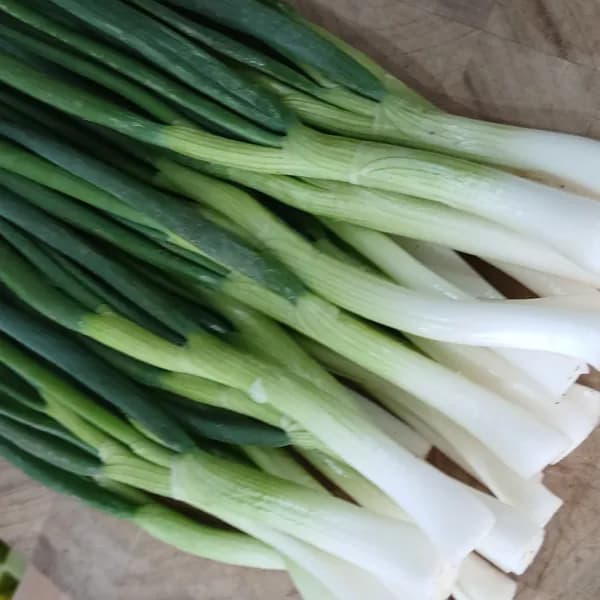 깐쪽파 500g