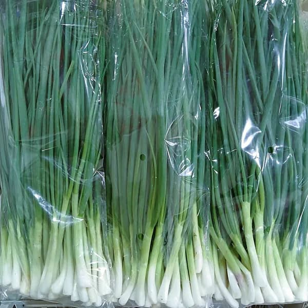 깐쪽파 1kg 1개 15,000원