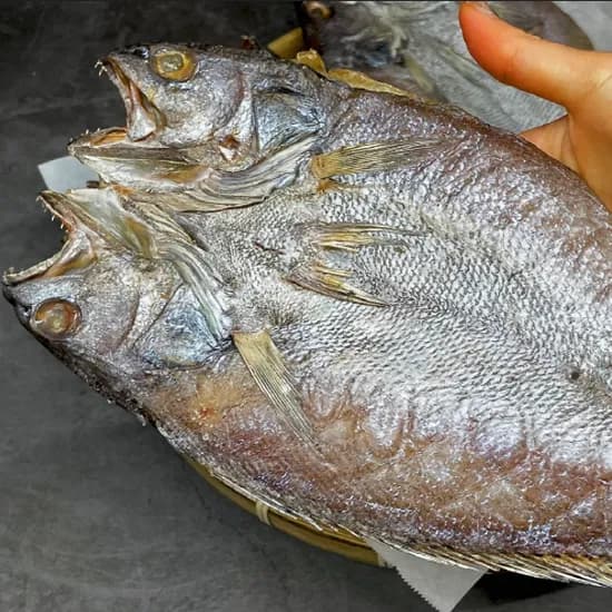 초대왕 반건조 민어 1.5kg 5마리