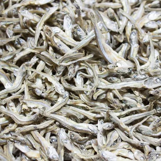 국내산 고바멸치 1.5kg 1개