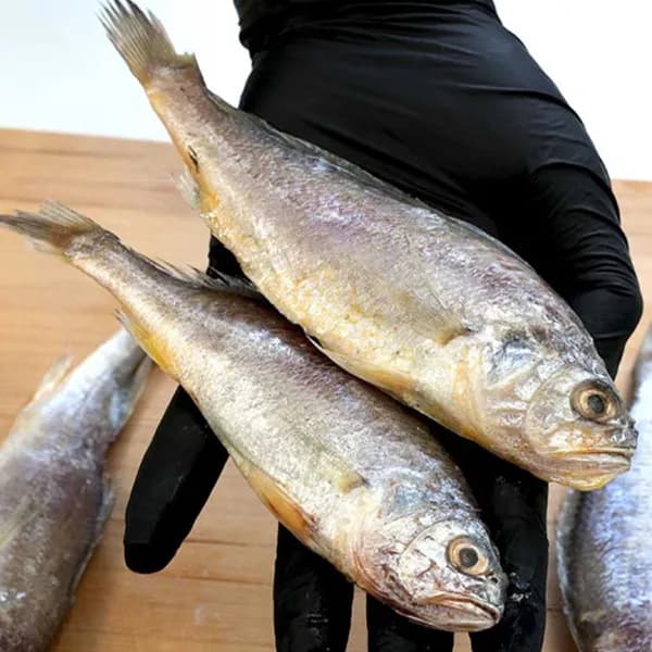 급냉 국산 참 조기 1kg 16-20미