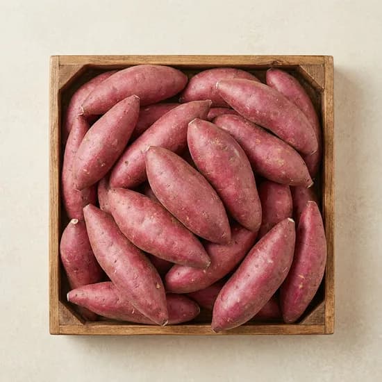 프루트 햇고구마 해남 꿀고구마 5kg 한입 세척