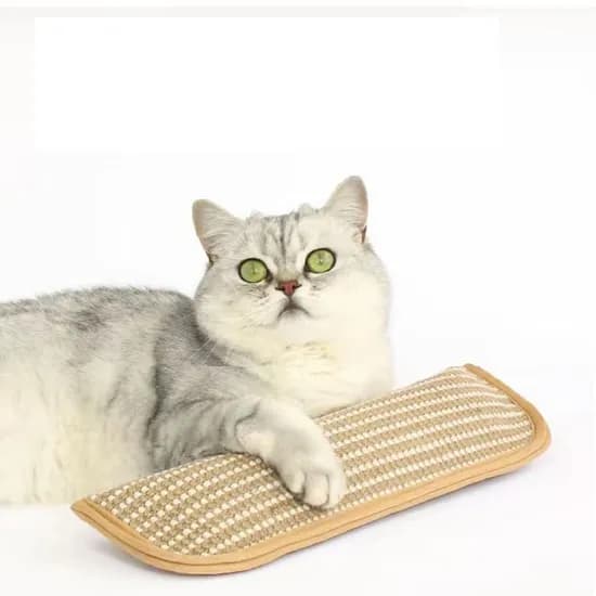 MAAH 고양이 사이잘 스크래칭 캣닢 쿠션 장난감, 브라운, 1개