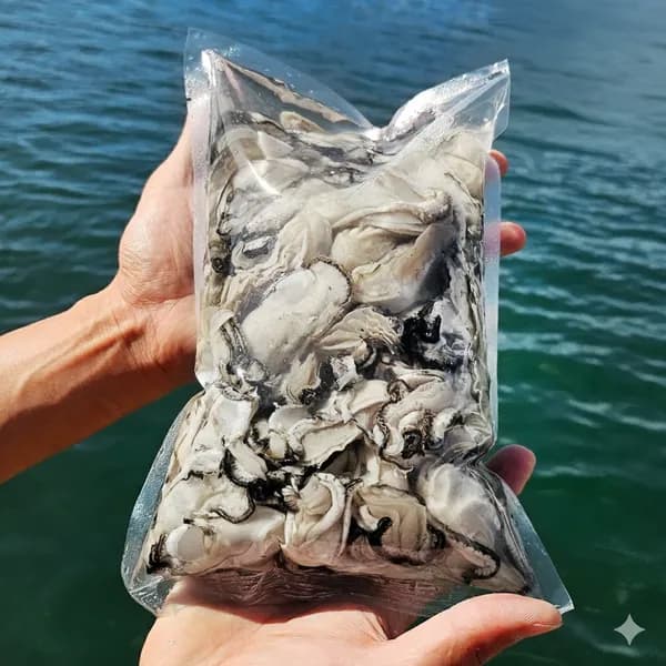 나이스씨푸드 통영 굴 세척 횟감용 1kg 1팩 17,900원