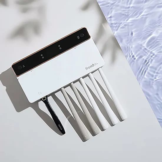 프롬비 프리미엄 UV C LAMP 무선 가정용 칫솔살균기 FD229, 화이트, 1개