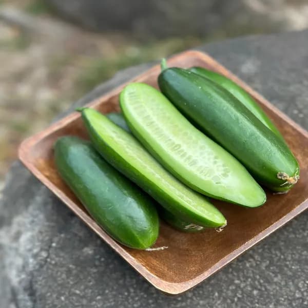 미니오이 특상 1kg 1박스