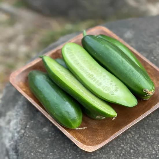 미니오이, 특상, 2kg, 1박스