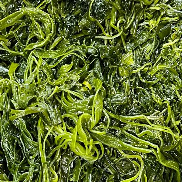 씨포유 염장 채다시마 10kg 1개 17,550원