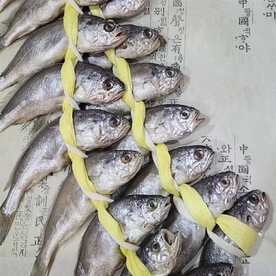담미로 영광굴비 20미 1.5kg 1세트