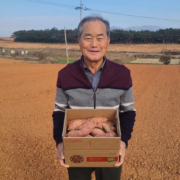 해남 밤고구마 한입 3kg 1박스 7,900원
