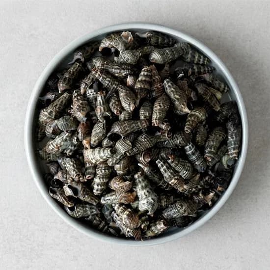 자숙 갯고동 다슬기 1kg 1개