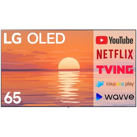 LG UHD OLED EVO 4K 스마트 TV OLED65C4, 165cm, 벽걸이형, 방문설치