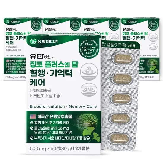 유한메디카 징코 플러스 엔 탑 혈행 기억력 케어 60정 5개