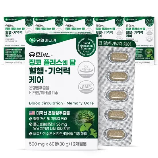유한메디카 징코 플러스 엔 탑 혈행 기억력 케어, 60정, 6개