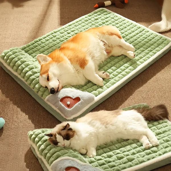 강아지 고양이 겨울 침대 매트 방석 하우스 아보카도그린 XL 1개 29,500원