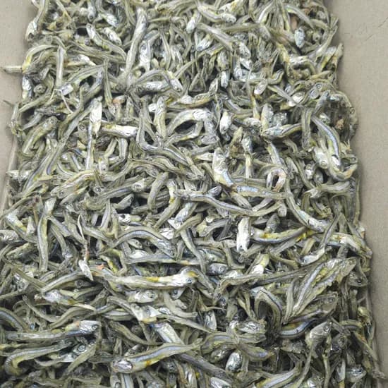 국내산 정품 조림용 고바멸치, 1.5kg, 1박스