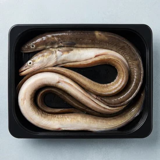 수산특공대 대왕 바다장어 1kg 1팩