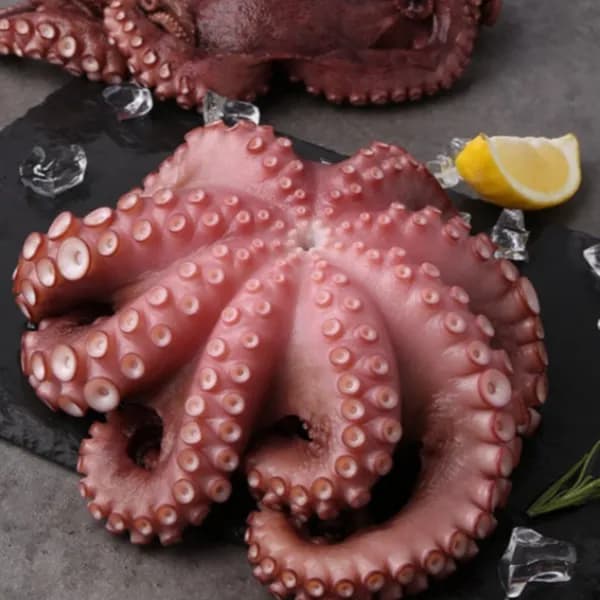 참문어 통다리 자숙 600g 내외 1kg 1개 29,280원