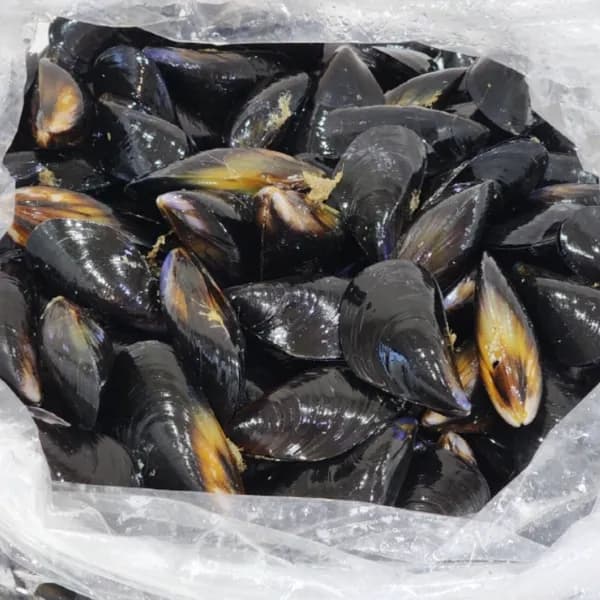 통영산 다듬이 세척 홍합 4kg 1개 10,500원