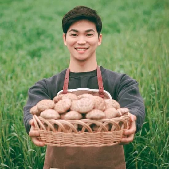생표고버섯 화고 1kg 1개