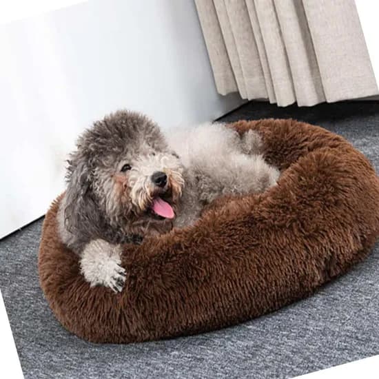에코벨 강아지 도넛방석, 그레이, 60cm, 1개