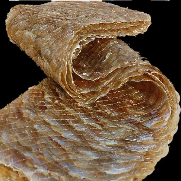 오통통 장줄쥐포 300g 이상 2매 1개