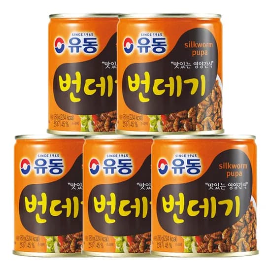 유동 번데기 280g 5개
