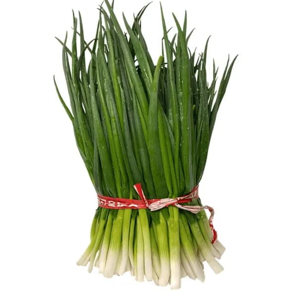 대박농수산 깐쪽파 손질 1kg 1박스