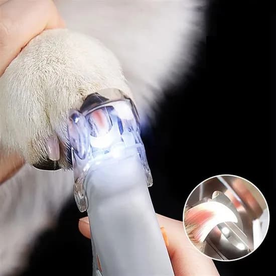 LED 랜턴 애견발톱깍이, 1개