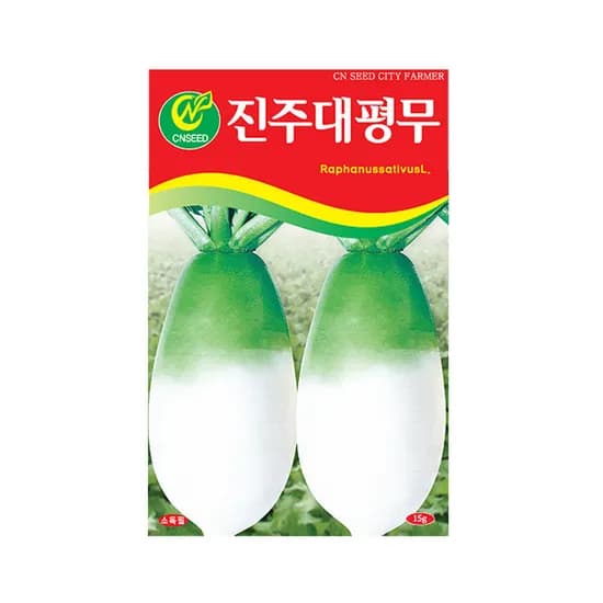CN SEED CITY FARMER 진주대평무씨앗 15g 1개