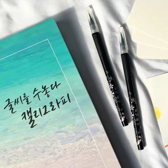 글씨를 수놓다 캘리그라피 교본, ACE붓펜 세트, 1개